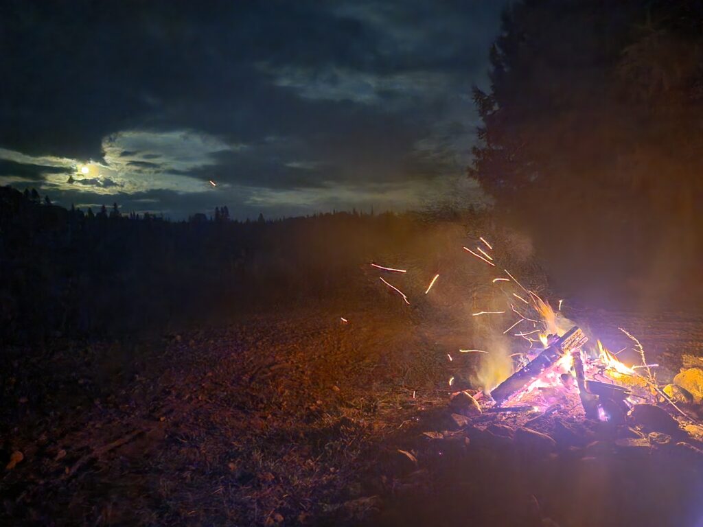 caribou 3