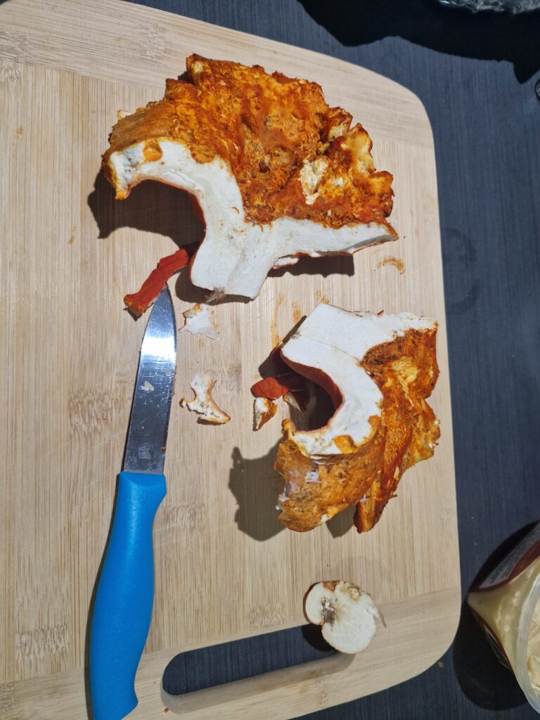 champignon crabe