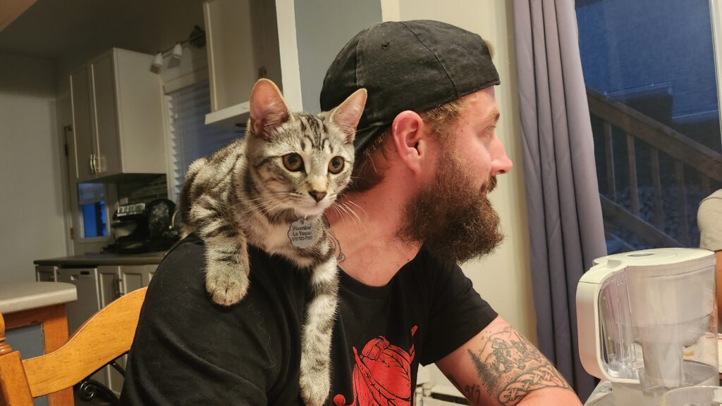 chat cyprien et pauline la tuque lache pas la patate