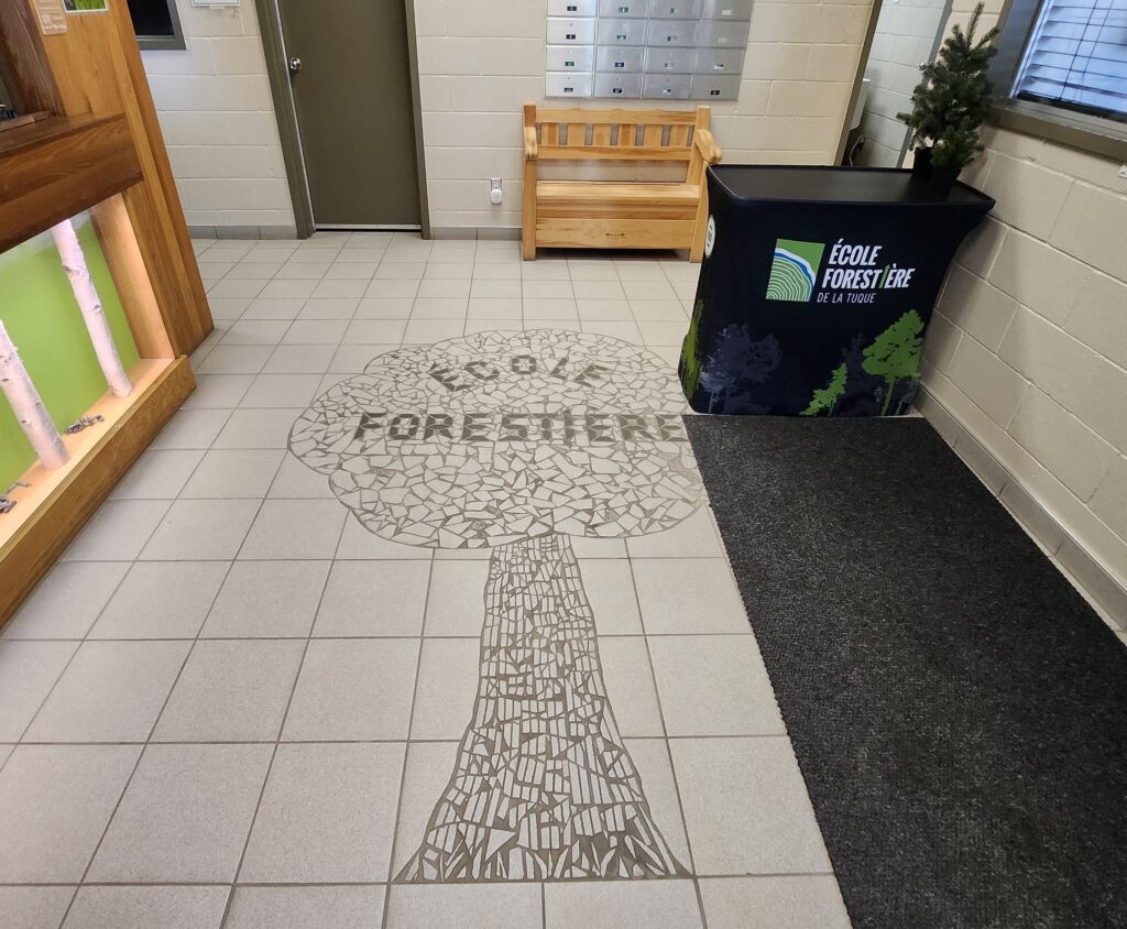 ecole forestiere lache pas la patate