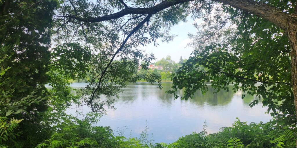 lac saint louis vert lache pas la patate