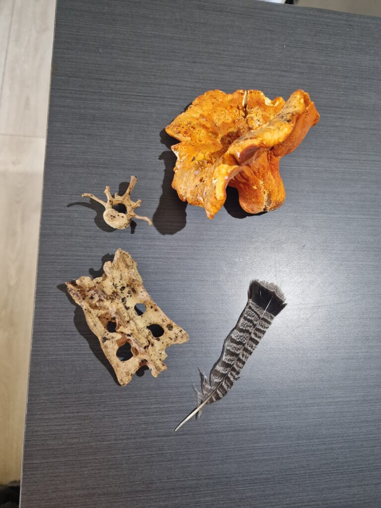 trouvailles jour1
