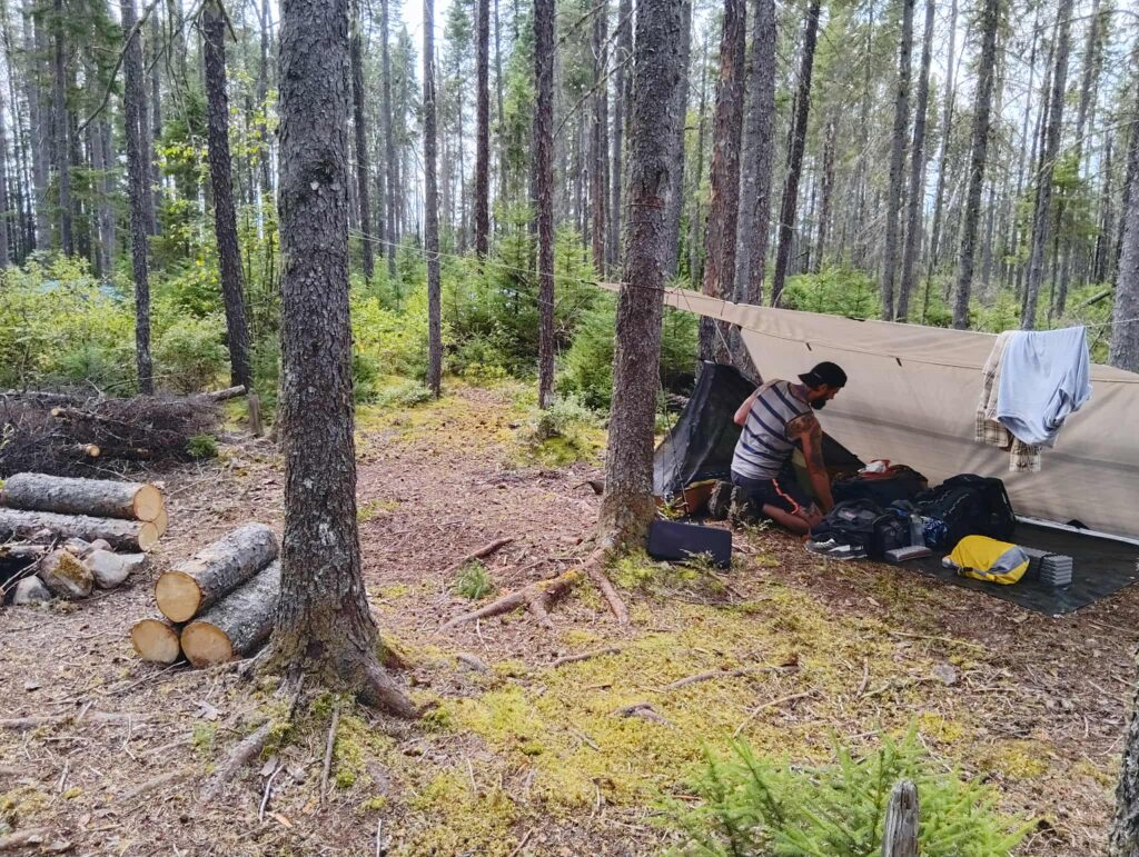 camp forêt1
