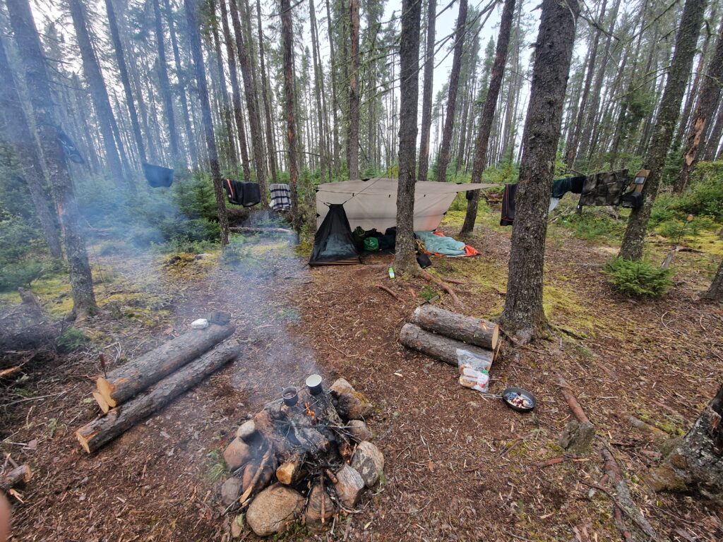 camp forêt3