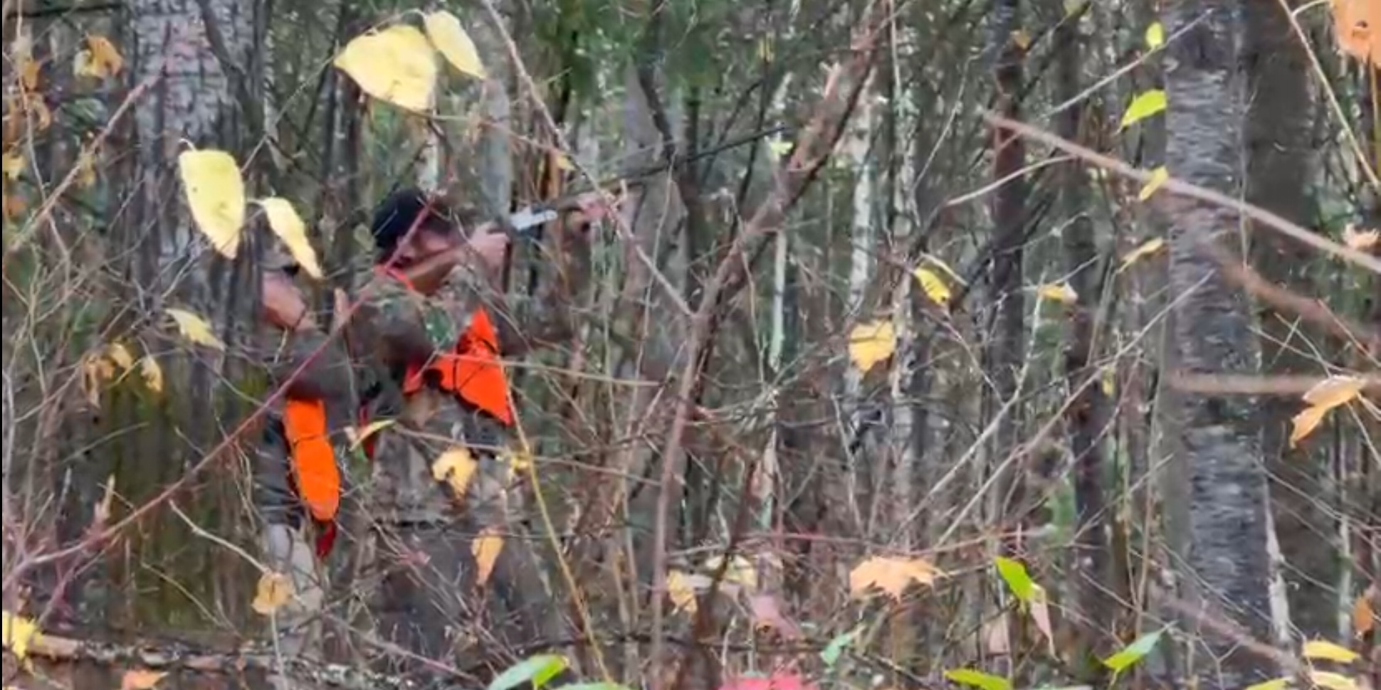 lachepaslapatate chasse gelinotte
