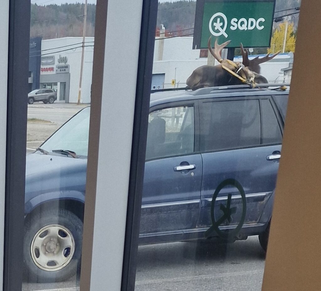 lachepaslapatate orginal voiture