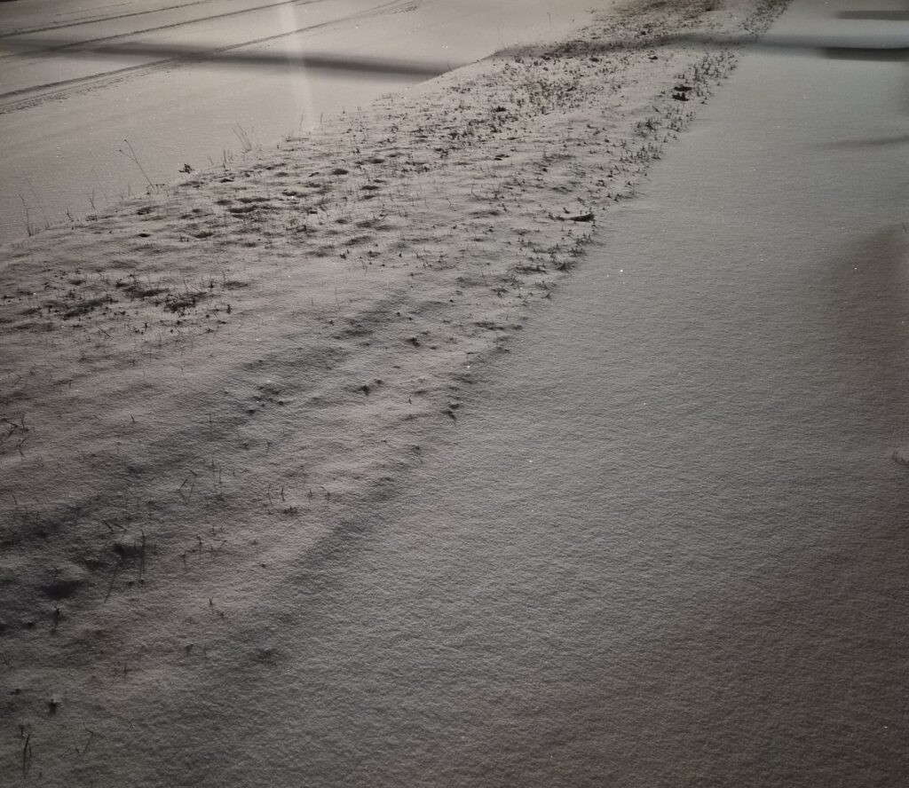 lachepaslapatate premiere neige