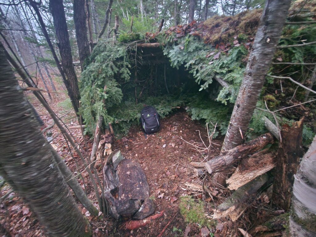 survie 2