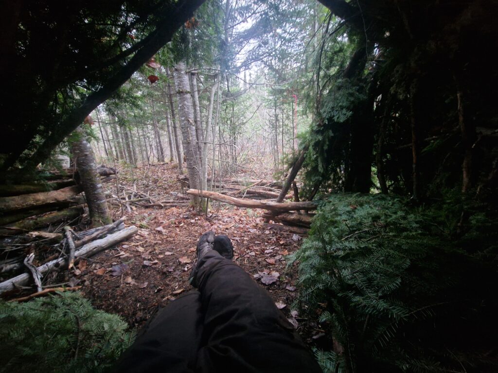 survie 4