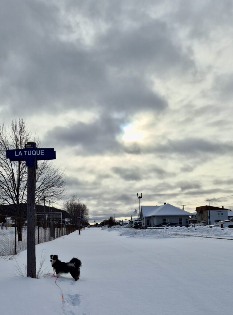 lachepaslapatate gare la tuque neige