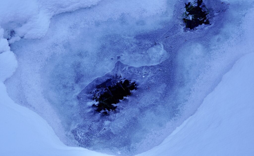 lachepaslapatate glace