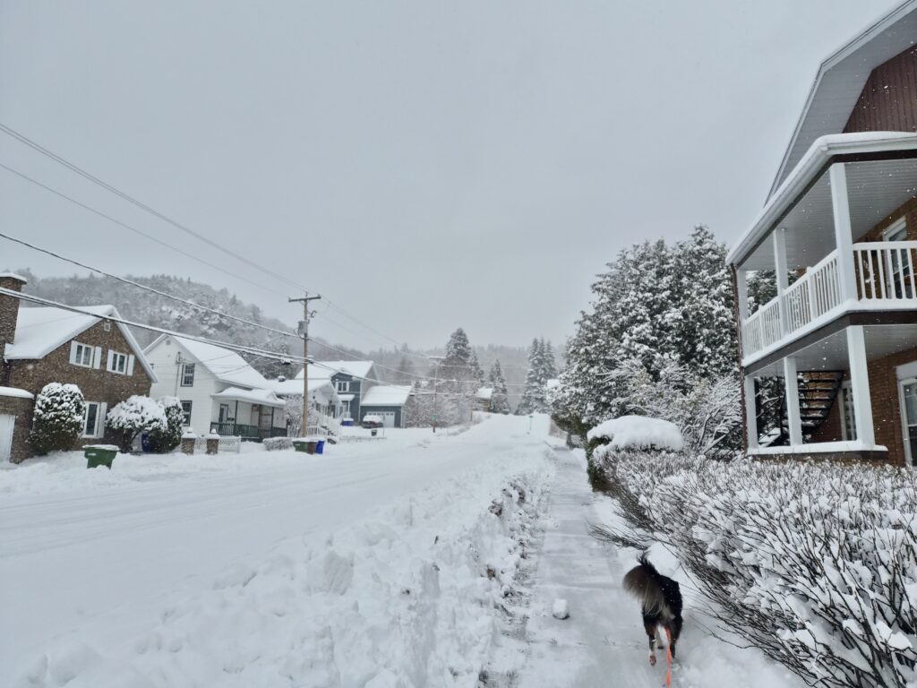 lachepaslapatate la tuque neige