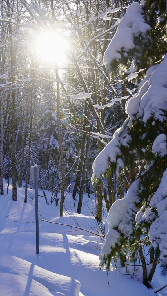 lachepaslapatate parc des chutes neige