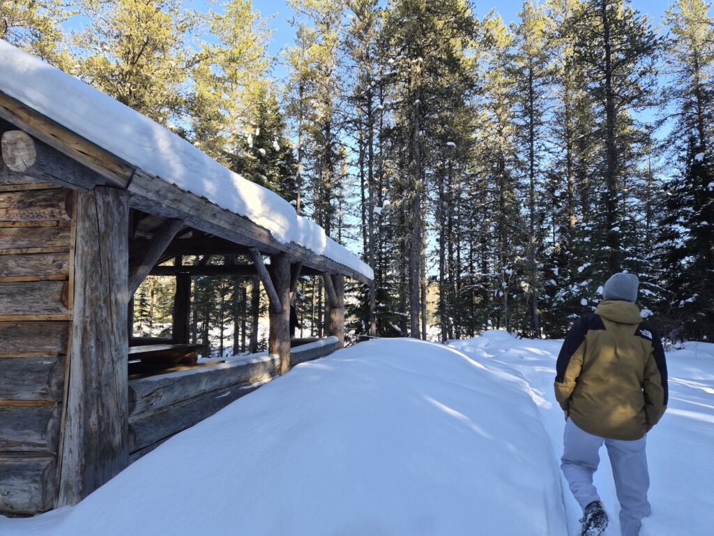 lachepaslapatate foret ecole hiver 2
