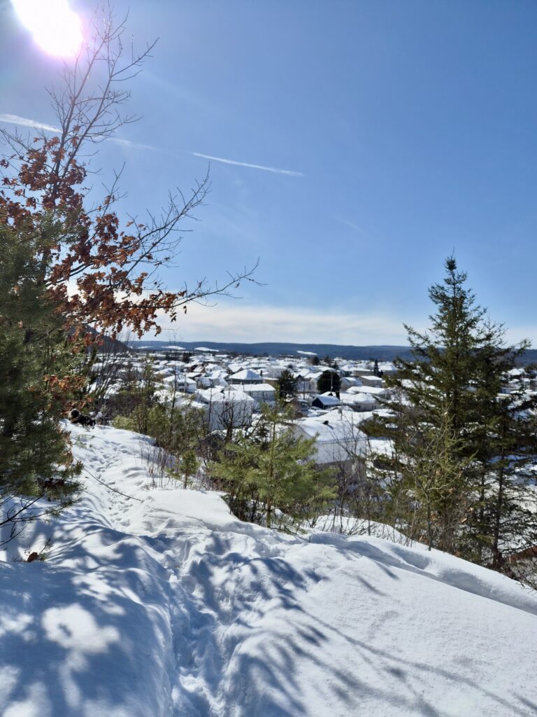 lachepaslapatate la tuque vue du haut 2