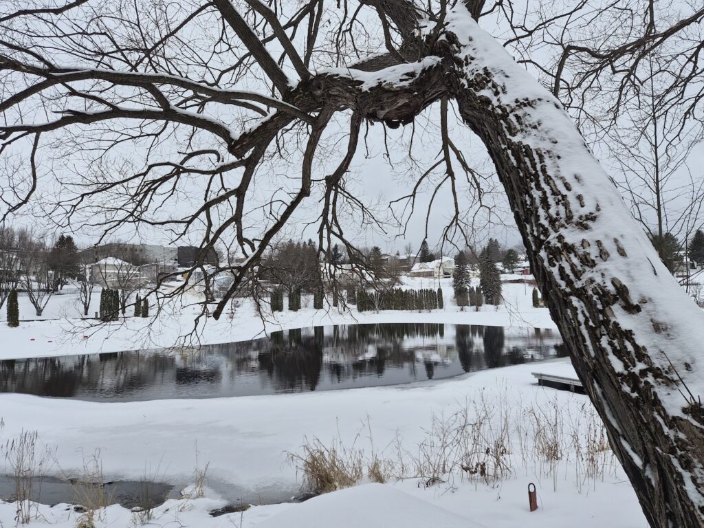 lachepaslapatate lac saint louis janvier