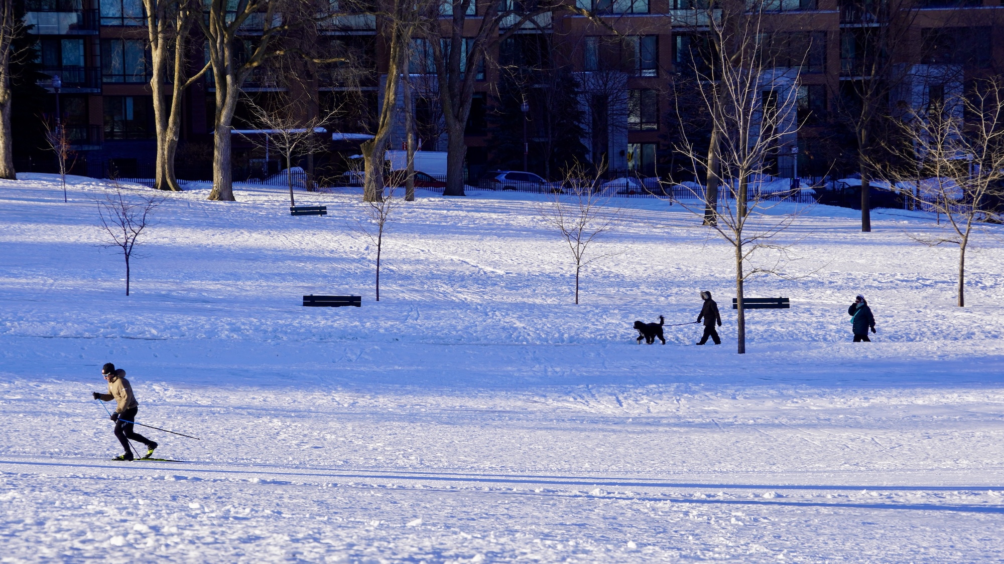 lachepaslapatate plaines abraham activites quebec