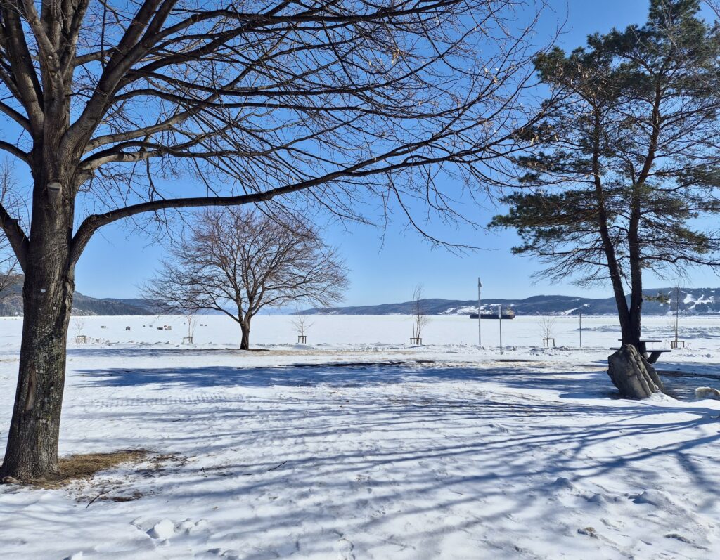 lachepaslapatate la baie quebec 3