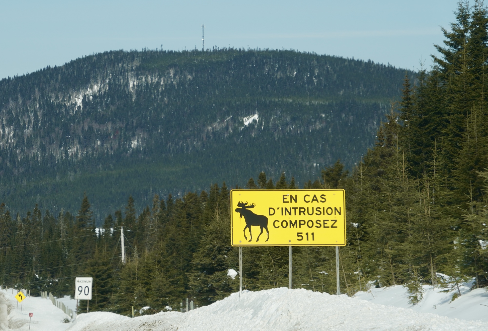 lachepaslapatate panneau orignal route quebec