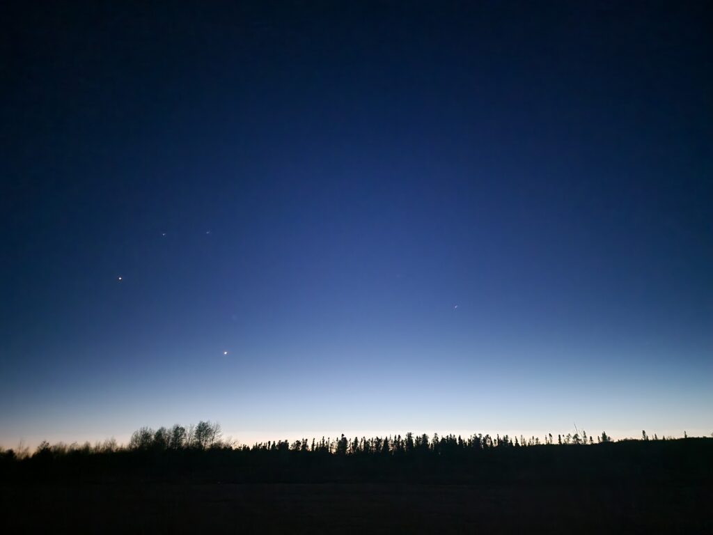 1000056454