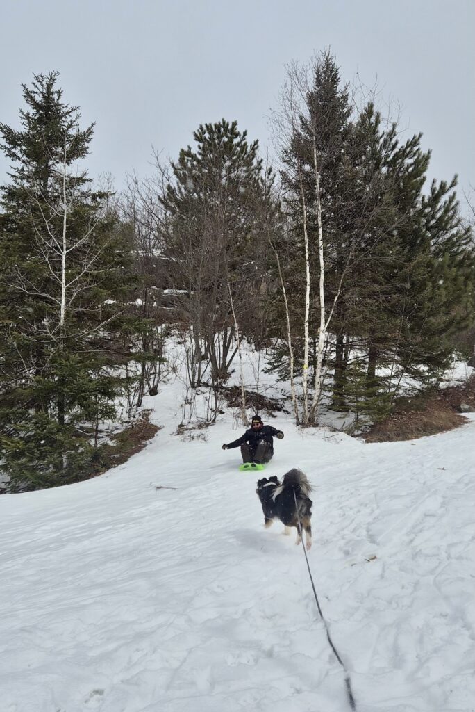 lachepaslapatate luge 2