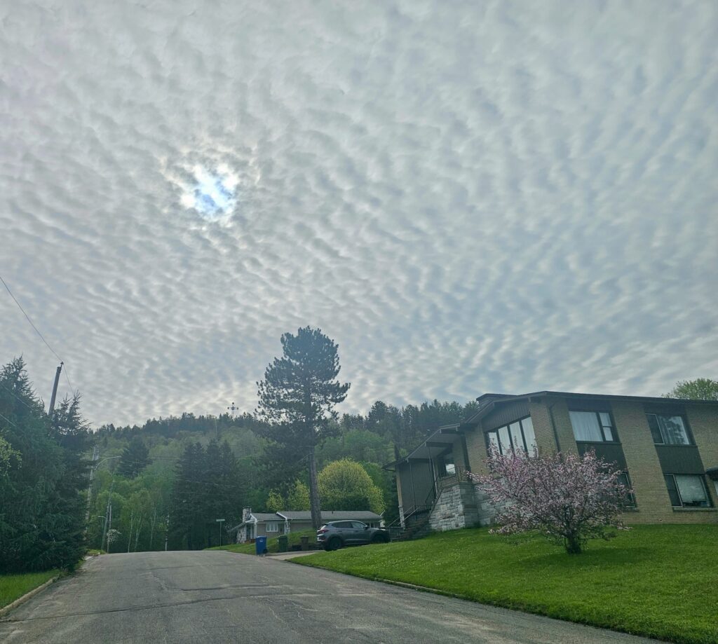 lachepaslapatate ciel