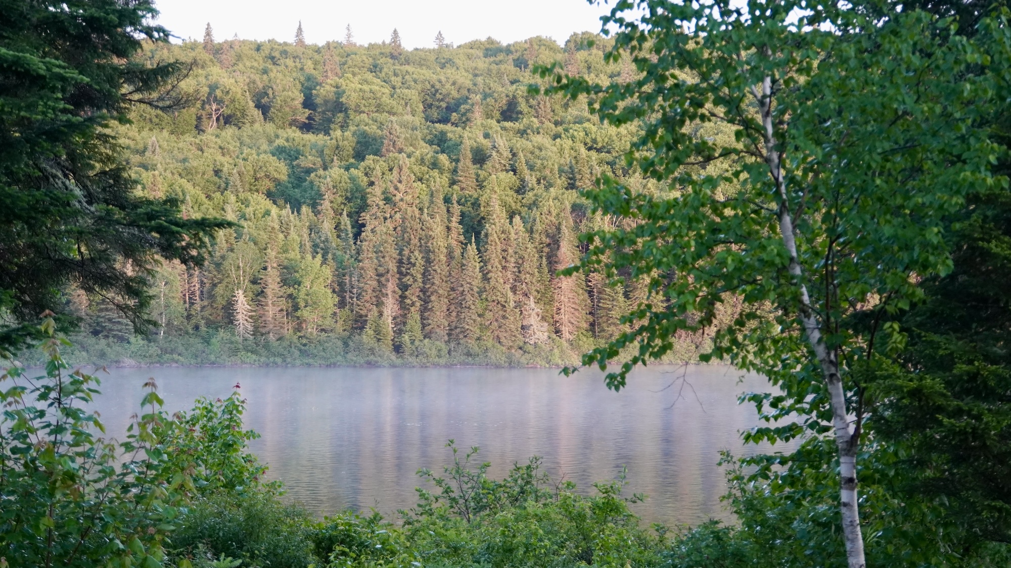 lachepaslapatate chez sylvain brume lac