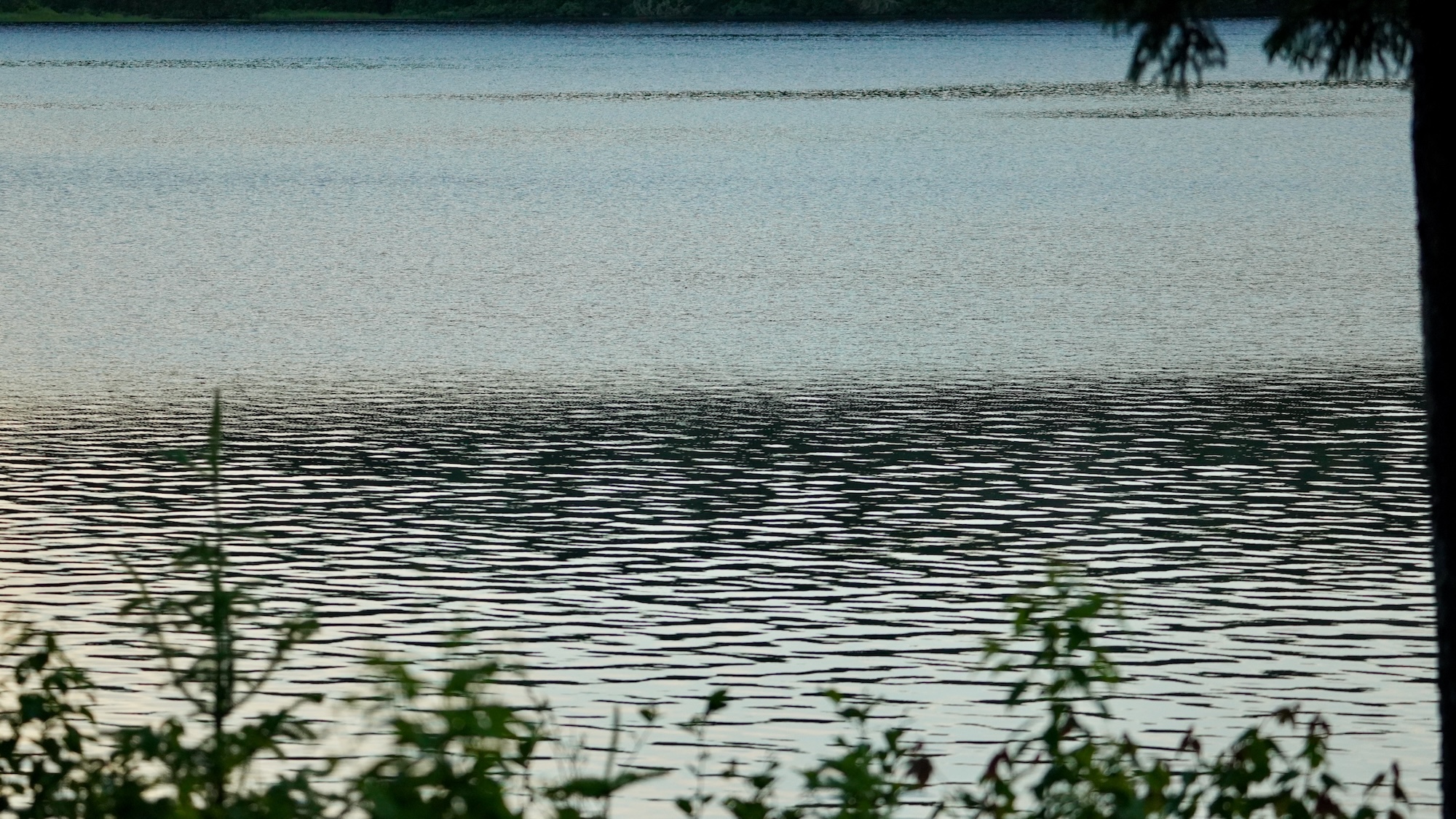 lachepaslapatate chez sylvain eau du lac