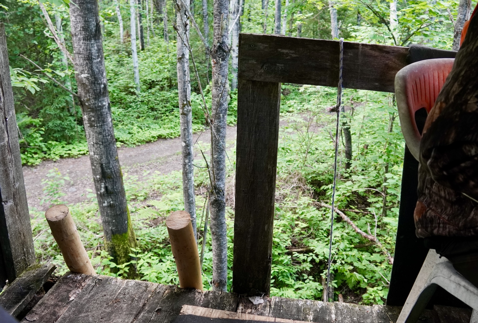 lachepaslapatate chez sylvain entree cache