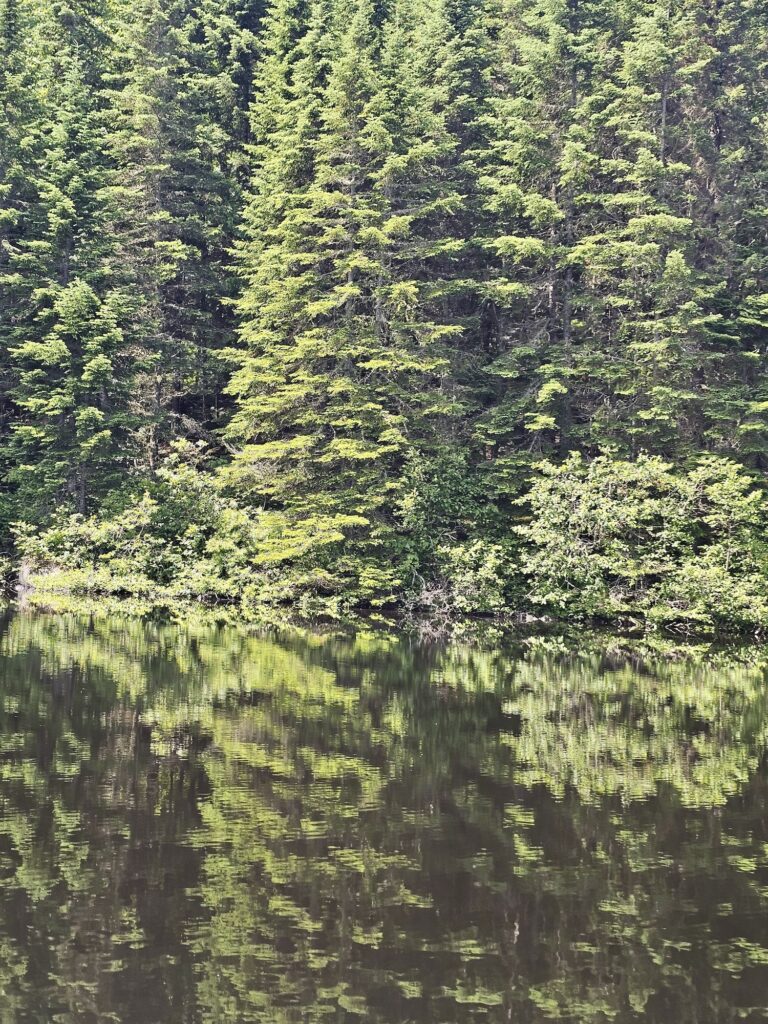 lachepaslapatate chez sylvain lac miroir 2