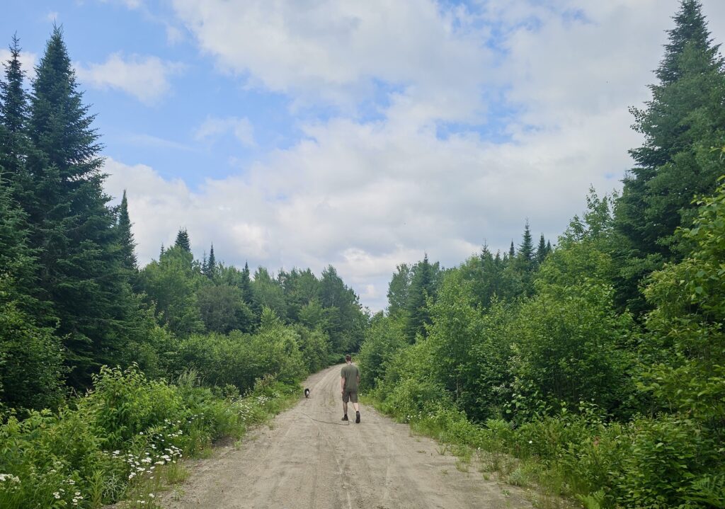 lachepaslapatate balade foret