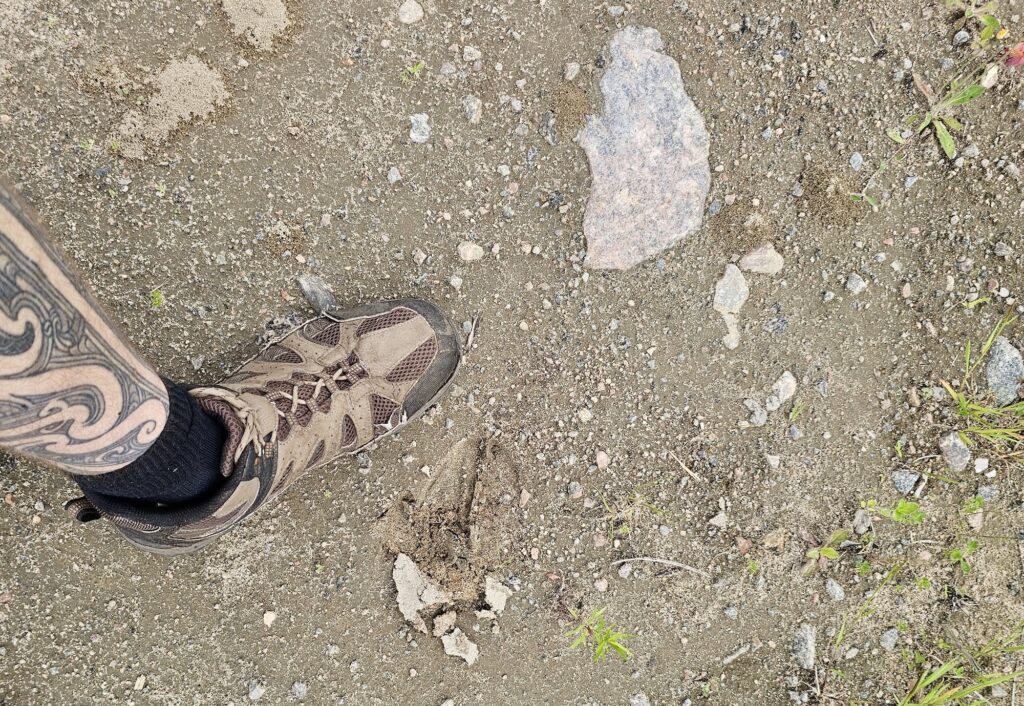lachepaslapatate trace foret ecole